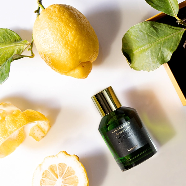 Фото Limone